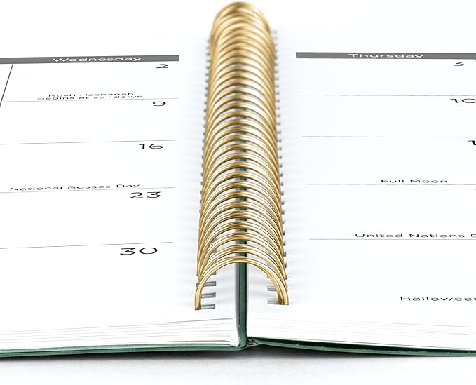 Mead 2026 Planner, Weekly & Monthly, 15-Month, 8-1/2" x 11", Large, Basic, Sage Green (CRW6209326)