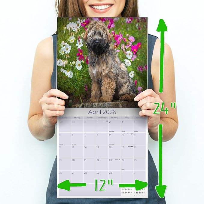 Tibetan Terrier Calendar 2026 by MegaCalendars – Monthly Dog Breed Wall Calendar, Made in USA