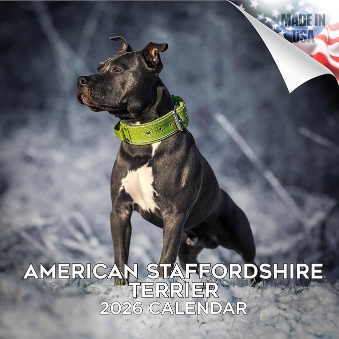 American Staffordshire Terrier Calendar 2026 by MegaCalendars – Monthly Dog Breed Wall Calendar, Made in USA