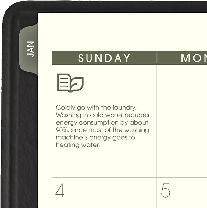 AT-A-GLANCE 2026 Appointment Book Planner, Weekly & Monthly, 8-1/4" x 11", Large, Quarter-Hourly, Recycled, Black (70950G0526)