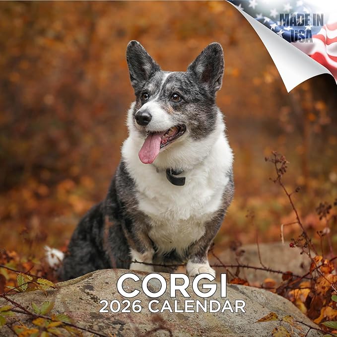 Corgi Calendar 2026 by MegaCalendars – Monthly Dog Breed Wall Calendar, Made in USA