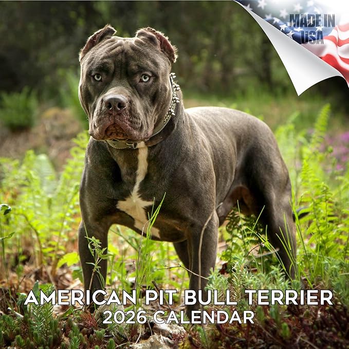 American Pit Bull Terrier Calendar 2026 by MegaCalendars – Monthly Dog Breed Wall Calendar, Made in USA