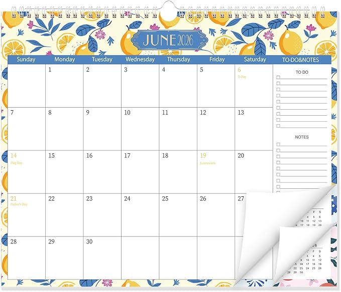 GuassLee Wall Calendar 2026-2027, School Year Calendar from Jun. 2026 to Dec. 2027, 19-Month Paper Wall Calendar with To-Do List and Notes for Office School Home Teacher Planning, 14” x 11.5”