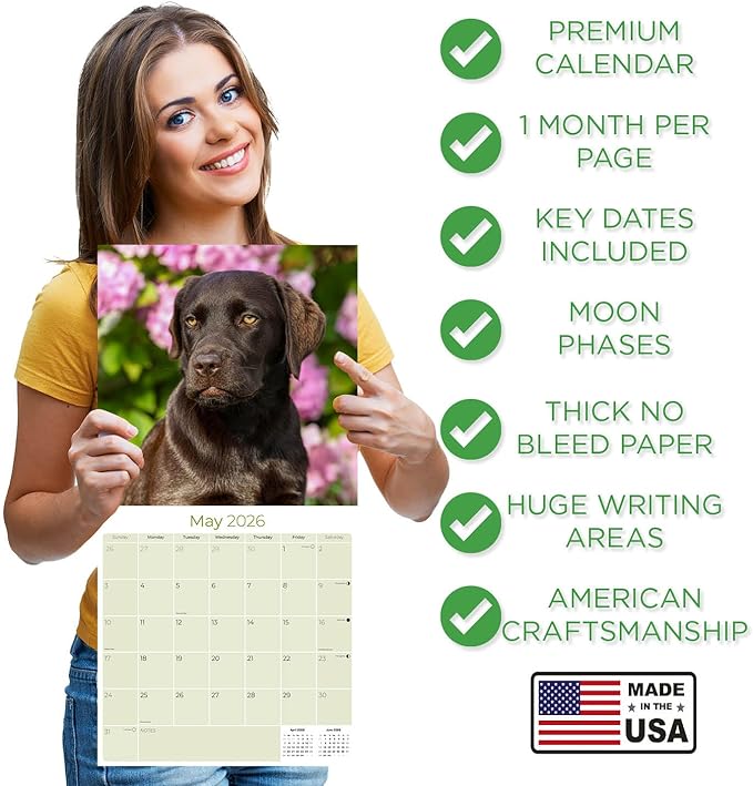 Chocolate Labrador Calendar 2026 by MegaCalendars – Monthly Dog Breed Wall Calendar, Made in USA