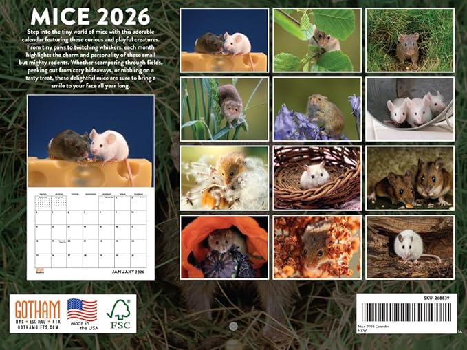 Mouse Calendar 2026 Mice Monthly Wall Calender 12 Month | American Made In The USA