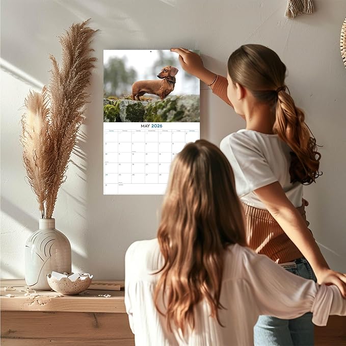 2025 2026 Dachshund Calendar - Dog Breed Monthly Wall Calendar - 12" x 18" Open - Thick No-Bleed Paper - Giftable - Academic Teacher's Planner Calendar Organizing & Planning - Made in USA