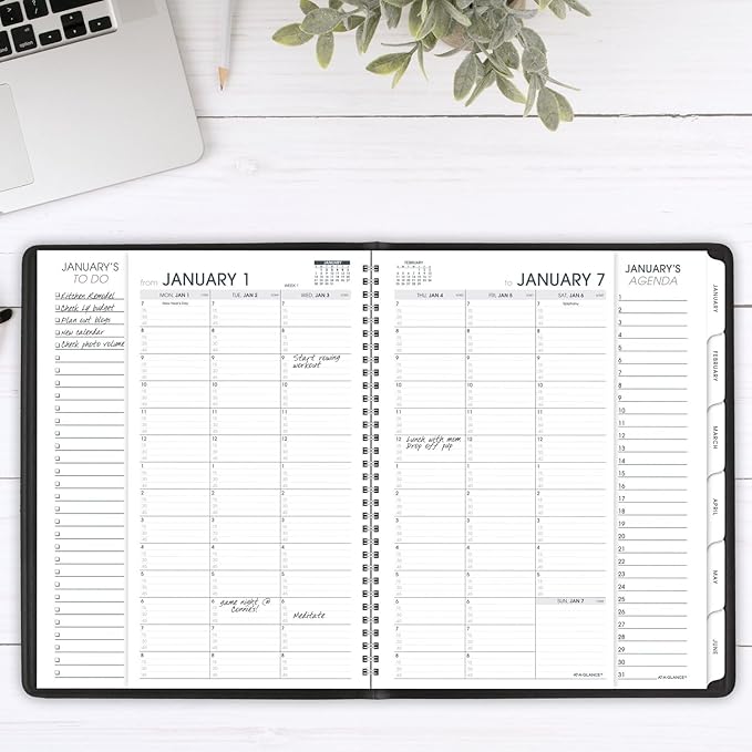AT-A-GLANCE 2025 Appointment Book Planner, Weekly & Monthly, 8-1/4" x 11", Quarter-Hourly, Triple View, Black (70950V0525)