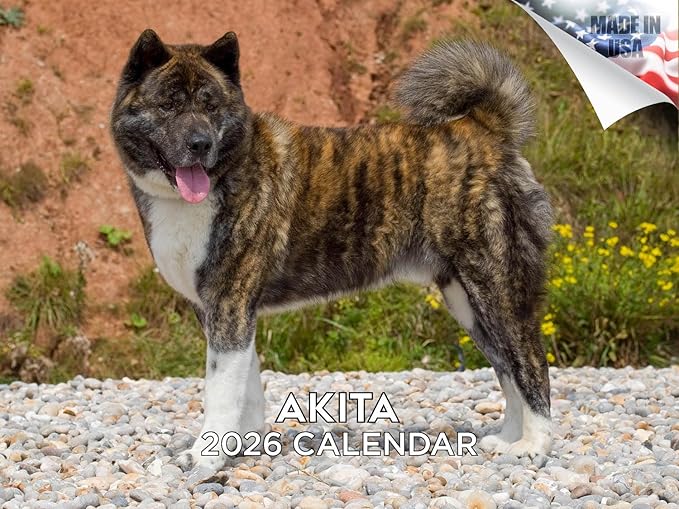 2025 2026 Akita Calendar - Dog Breed Monthly Wall Calendar - 12" x 18" Open - Thick No-Bleed Paper - Giftable - Academic Teacher's Planner Calendar Organizing & Planning - Made in USA