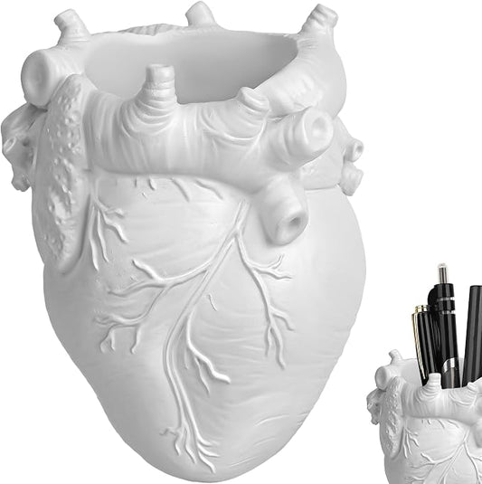 Anatomical Heart Pencil Holder, White Resin Organ-Shaped Pen Cup Desk Organizer, Realistic Human Heart Decor, Stable Base