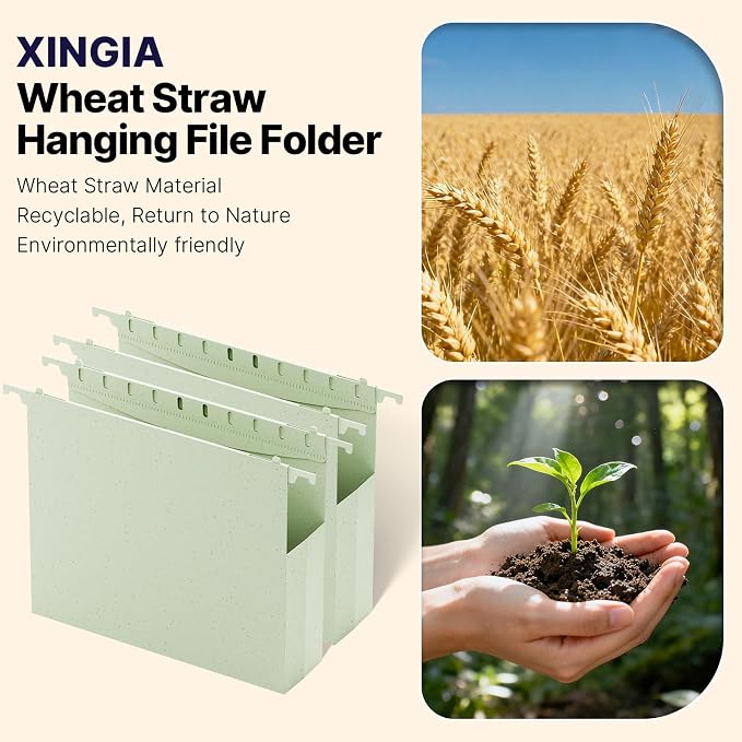 XINGIA Plastic Hanging File Folders Letter Size,12 Pack 2" Expansion Extra Capacity Hanging Folders for Filing Cabinet,Hanging File Organizer with Tabs, Ideal School Classroom, Office Supplies
