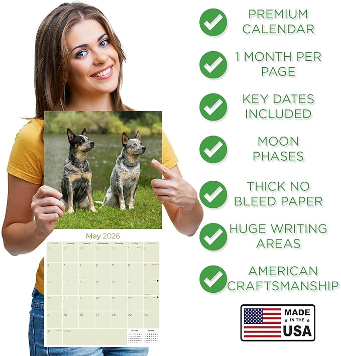 Australian Cattle Dog Calendar 2026 – 16-Month Dog Breed Wall Calendar by MegaCalendars – Large Daily Blocks, Thick No-Bleed Paper, Made in USA