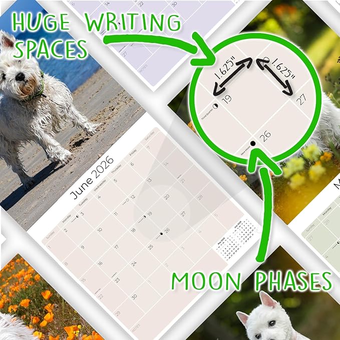 West Highland Terrier Calendar 2026 by MegaCalendars – Monthly Dog Breed Wall Calendar, Made in USA