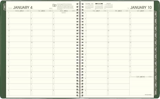 AT-A-GLANCE 2027 Appointment Book Planner, Weekly & Monthly, 8.25" x 11", Quarter-Hourly, Recycled, Green (70950G6027)