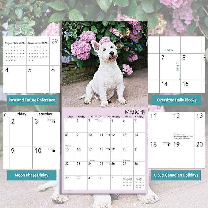 2026 Wall Calendar,West highland terrier Wall Calendar, 12" x 24" Open,Family Planner Calendar Organizer with West highland terrier Images, for Dogs Lovers