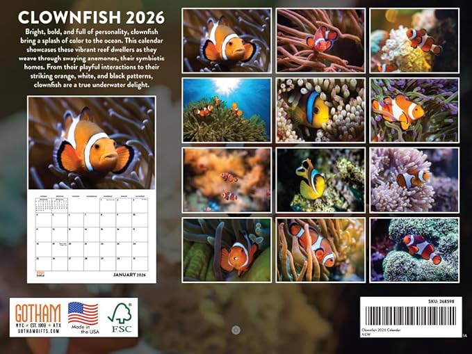 Clownfish Calendar 2026 Clown Fish Monthly Wall Calender 12 Month | American Made In The USA