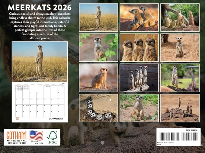 Meerkat Calendar 2026 Monthly Wall Calender 12 Month | American Made In The USA