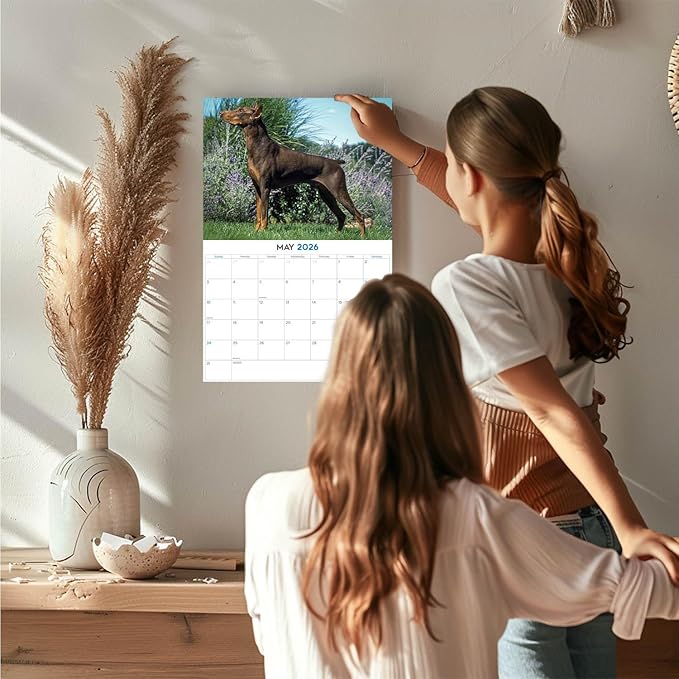 2025 2026 Doberman Calendar - Dog Breed Monthly Wall Calendar - 12" x 18" Open - Thick No-Bleed Paper - Giftable - Academic Teacher's Planner Calendar Organizing & Planning - Made in USA