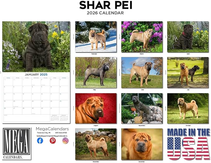 2025 2026 Shar Pei Calendar - Dog Breed Monthly Wall Planner - 12" x 18" Open - Thick No-Bleed Paper - Giftable - Academic Teacher's Organizing & Planning