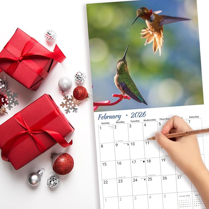 2025-2026 Wall Calendar Hummingbird | 18 Monthly Hangable Hummingbird Calendars | 12" x 24" (Open) | Thick & Sturdy Paper for Organizing & Planning | Home and Office | Hummingbird