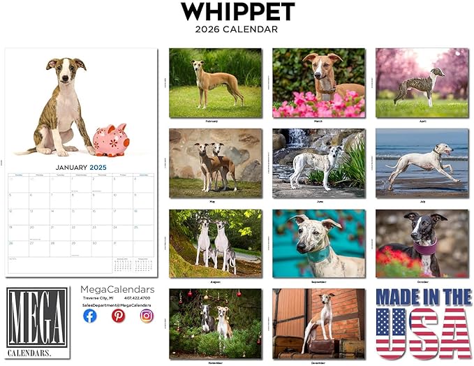 2025 2026 Whippet Calendar - Dog Breed Monthly Wall Calendar - 12" x 18" Open - Thick No-Bleed Paper - Giftable - Academic Teacher's Planner Calendar Organizing & Planning - Made in USA