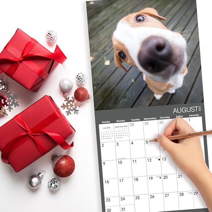 Dog Selfies 2026 Wall Calendar | 12" x 24" Open Hangable Monthly | Thick & Sturdy Paper | Funny Dogs | Family Planner Calendar
