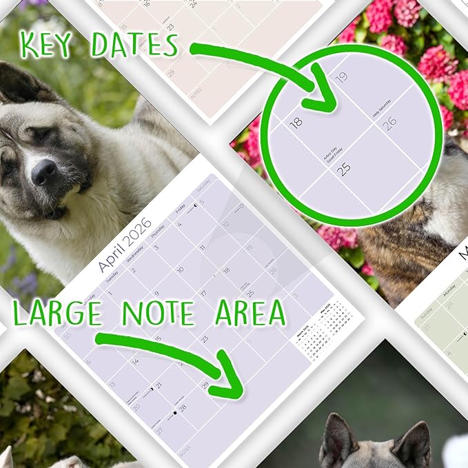 Akita Calendar 2026 by MegaCalendars – Monthly Dog Breed Wall Calendar, Made in USA