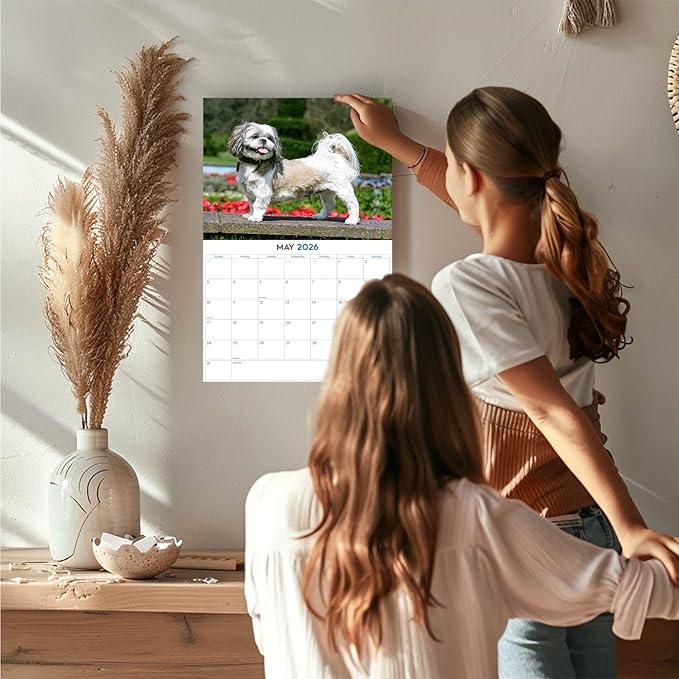 2025 2026 Shih Tzu Calendar - Dog Breed Monthly Wall Calendar - 12" x 18" Open - Thick No-Bleed Paper - Giftable - Academic Teacher's Planner Calendar Organizing & Planning - Made in USA