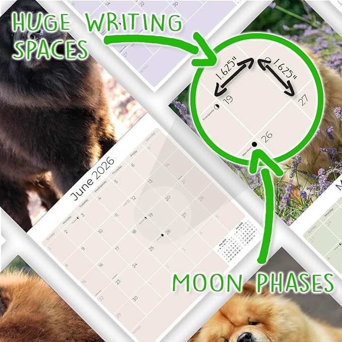 Chow Chow Calendar 2026 by MegaCalendars – Monthly Dog Breed Wall Calendar, Made in USA