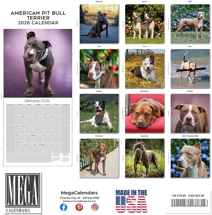 American Pit Bull Terrier Calendar 2026 by MegaCalendars – Monthly Dog Breed Wall Calendar, Made in USA
