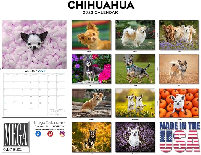 2025 2026 Chihuahua Calendar - Dog Breed Monthly Wall Calendar - 12" x 18" Open - Thick No-Bleed Paper - Giftable - Academic Teacher's Planner Calendar Organizing & Planning - Made in USA