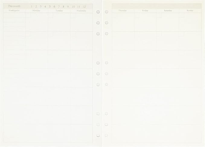 Zelten 1 Pack B5 45 Sheets/90 Pages Monthly Planner Loose Leaf Punched Paper Refills Paper for 9 Hole Binder Personal Organizer Diary Notebook Refillable Planner
