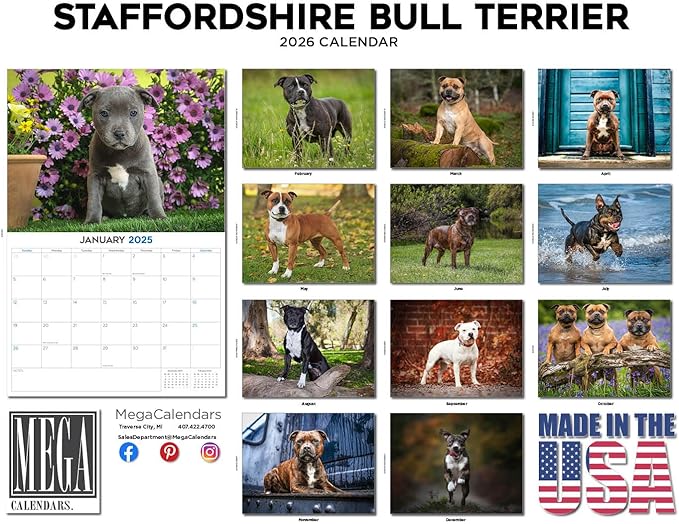 2025 2026 Pitbull Calendar - Staffordshire Bull Terrier Dog Breed Monthly Wall Calendar - 12" x 18" Open - Thick No-Bleed Paper - Giftable - Academic Teacher's Planner Calendar Organizing & Planning