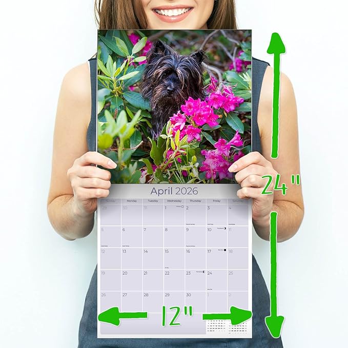 Cairn Terrier Calendar 2026 by MegaCalendars – Monthly Dog Breed Wall Calendar, Made in USA