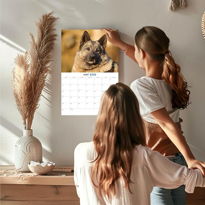 2025 2026 Norwegian Elkhound Calendar - Dog Breed Monthly Wall Calendar - 12" x 18" Open - Thick No-Bleed Paper - Giftable - Academic Teacher's Planner Calendar Organizing & Planning - Made in USA