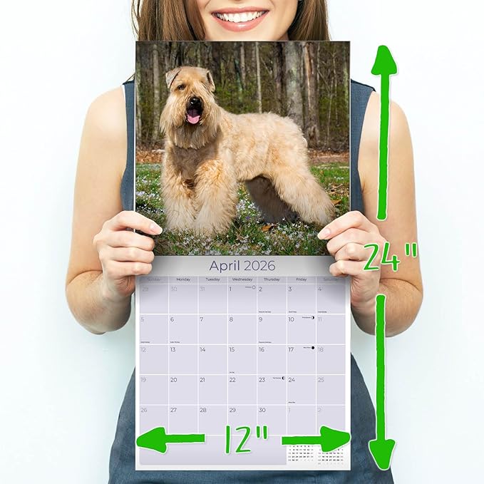 Softcoat Wheaten Terrier Calendar 2026 by MegaCalendars – Monthly Dog Breed Wall Calendar, Made in USA