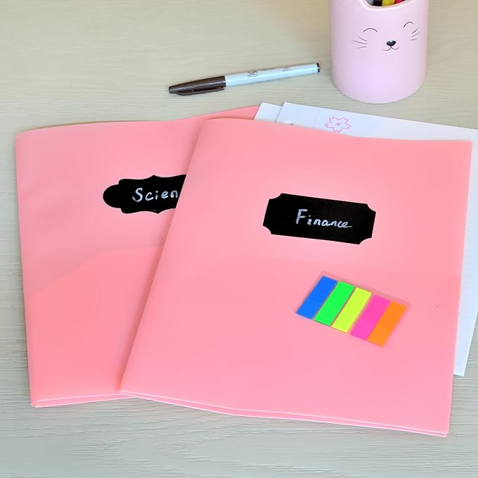Youngever 6 Pack Heavy Duty Plastic Two Pocket Folders, Heavy Duty Plastic 2 Pocket Folder (Pink)
