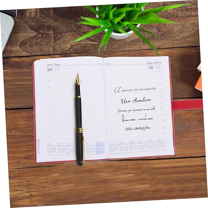 KALLORY Daily Planner with Tabs Monthly Calendar for Students Professionals Thick Paper Stylish Design Important Notes Section Management Tool