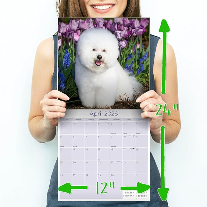 Bichon Frise Calendar 2026 by MegaCalendars – Monthly Dog Breed Wall Calendar, Made in USA
