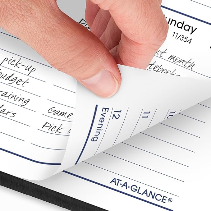 AT-A-GLANCE 2026 Appointment Book Planner, Weekly, 5" x 8", Small, DayMinder, Black (G2100026)