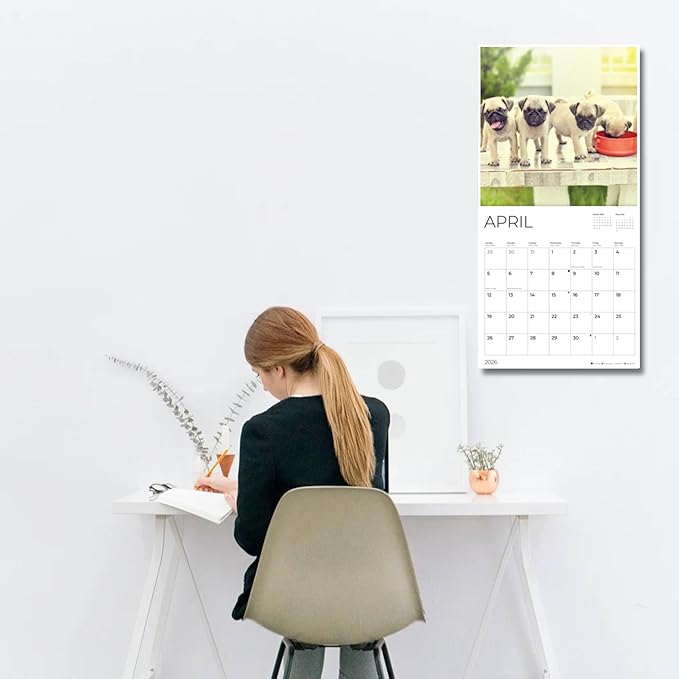 Pug Puppy Wall Calendar 2026| 12" x 24" Open | Dog Calendar Photography Thick & Sturdy Paper for Organizing & Planning | Office Kitchen Decor or Gift | Pacific Waters Press (Pug Puppies)