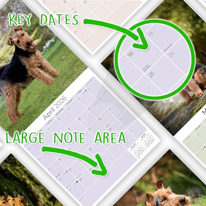 2025 2026 Welsh Terrier Calendar - Dog Breed Monthly Wall Calendar - 12" x 24" Open - Thick No-Bleed Paper - Giftable - Academic Teacher's Planner Calendar Organizing & Planning