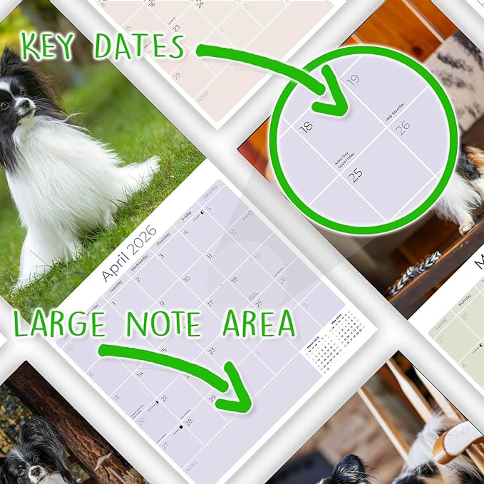 Papillon Calendar 2026 by MegaCalendars – Monthly Dog Breed Wall Calendar, Made in USA