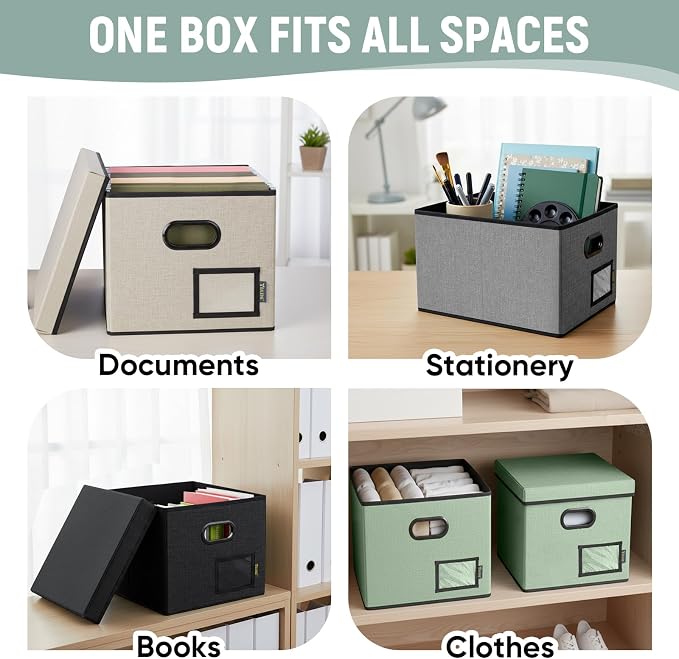 BALEINE File Organizer Box with Lid, Collapsible File Folder Organizer with Plastic Slide, Filing Box for Office Home Document Organizer Storage (Gray, 4PK)