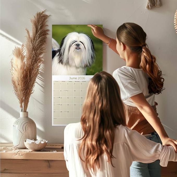 2025 2026 Lhasa Apso Calendar - Dog Breed Monthly Wall Calendar - 12" x 24" Open - Thick No-Bleed Paper - Giftable - Academic Teacher's Planner Calendar Organizing & Planning - Made in USA