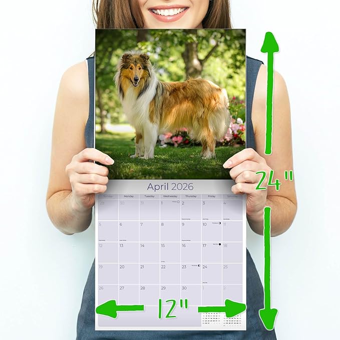Collie Calendar 2026 by MegaCalendars – Monthly Dog Breed Wall Calendar, Made in USA