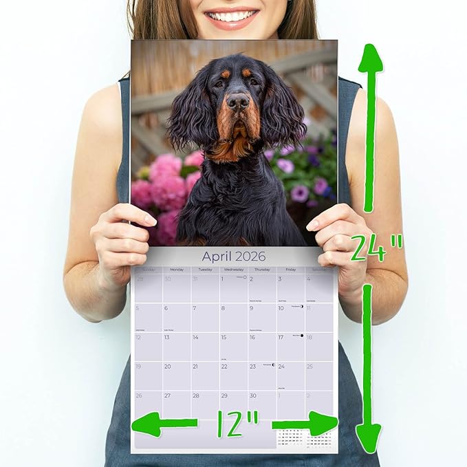 Gordon Setter Calendar 2026 by MegaCalendars – Monthly Dog Breed Wall Calendar, Made in USA