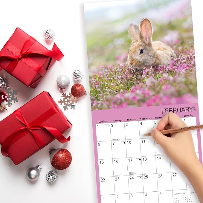 2026 Wall Calendar,Calendar 2026,Rabbit Monthly Wall Calendar, 12" x 24" Open,Family Planner Calendar, Home & Office Organizer,Hangable