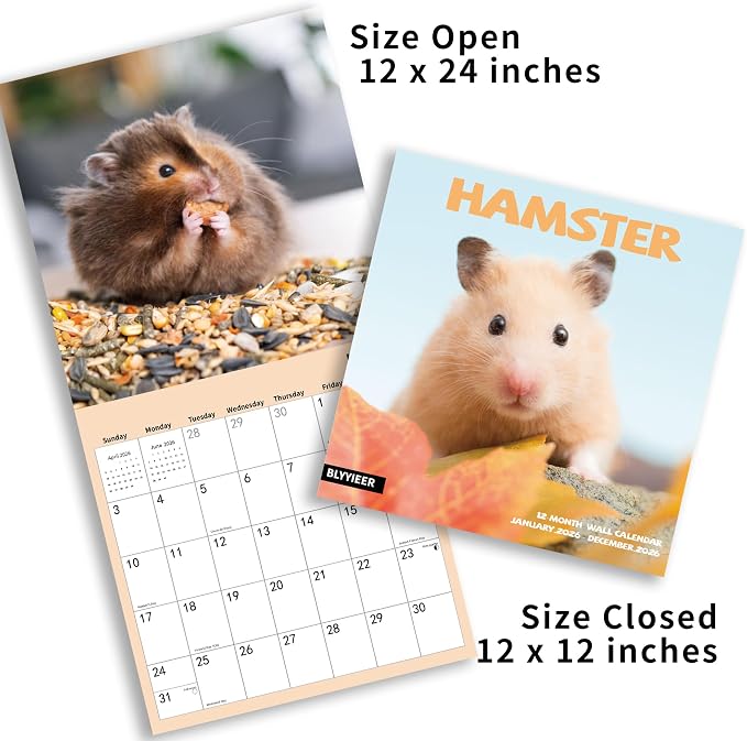 2026 Wall Calendar,Hamster Calendar 2026, Monthly Wall Calendar, 12" x 24" Open,Family Planner Calendar Organizer with funny hamster Images