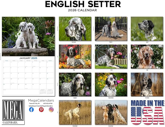 2025 2026 English Setter Calendar - Dog Breed Monthly Wall Calendar - 12" x 18" Open - Thick No-Bleed Paper - Giftable - Academic Teacher's Planner Calendar Organizing & Planning - Made in USA