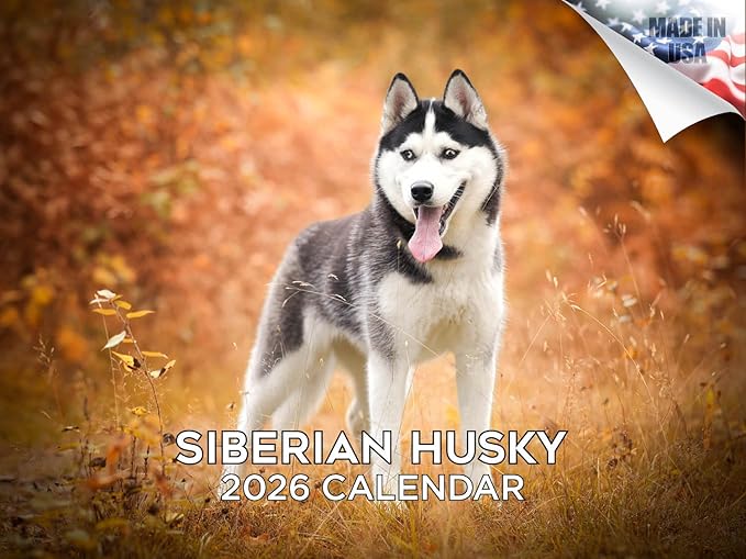 2025 2026 Siberian Husky Calendar - Dog Breed Monthly Wall Calendar - 12" x 18" Open - Thick No-Bleed Paper - Giftable - Academic Teacher's Planner Calendar Organizing & Planning - Made in USA
